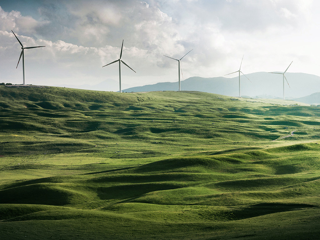 Wind turbines in a green landscape